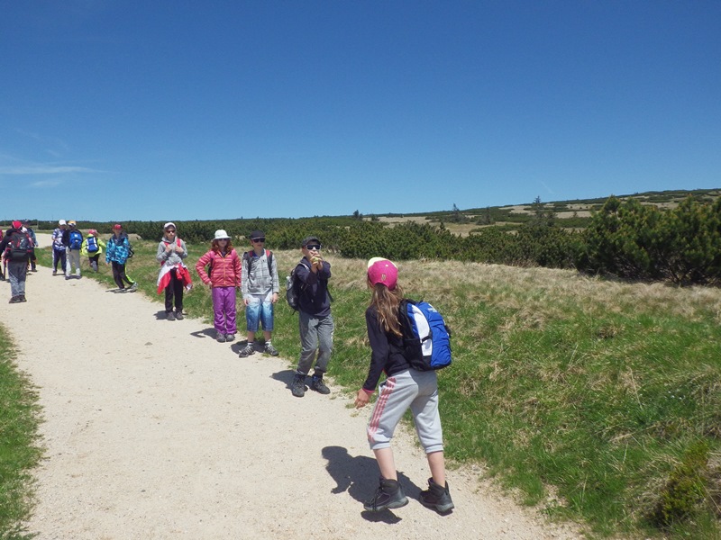 09_hra_ledovec_na_ústupu_02