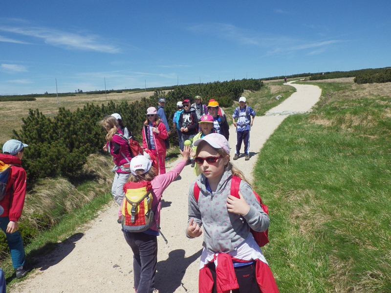 09_hra_ledovec_na_ústupu_03