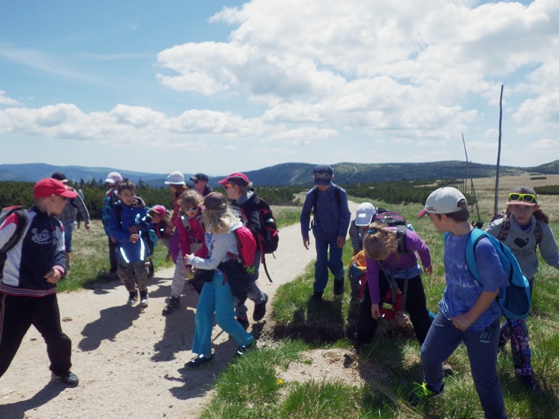 09_hra_ledovec_na_ústupu_08